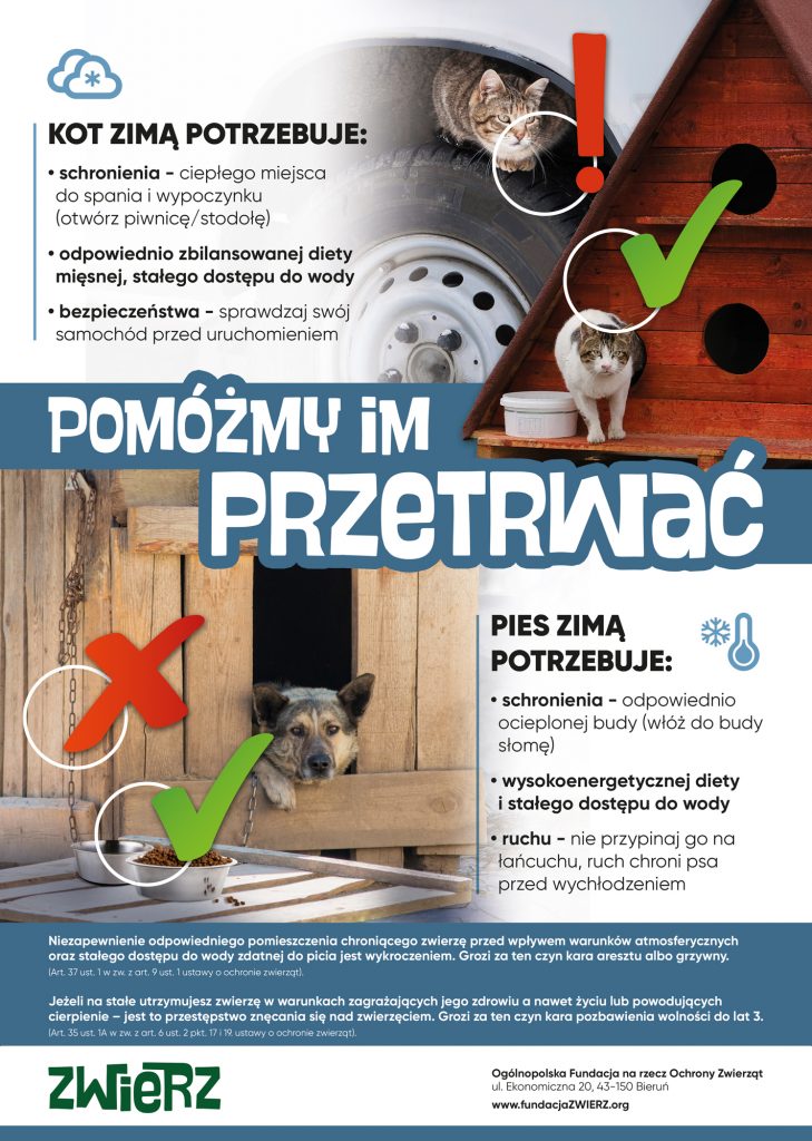 plakat na rzecz poprawy warunków utrzymywania zwierząt zimą