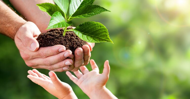 Międzynarodowy Dzień Zdrowia Roślin