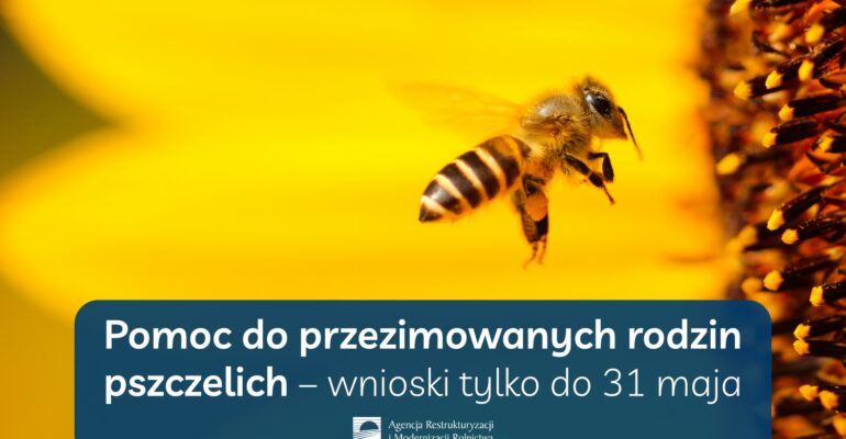 Pomoc do przezimowanych rodzin pszczelich - wnioski tylko do 31 maja