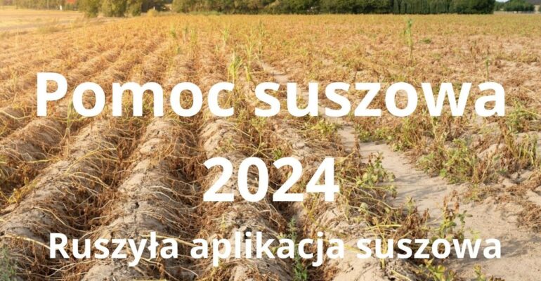 Pomoc suszowa 2024 - Ruszyła aplikacja „Zgłoś szkodę rolniczą”