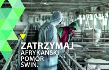 Informacja dotycząca wirusa ASF