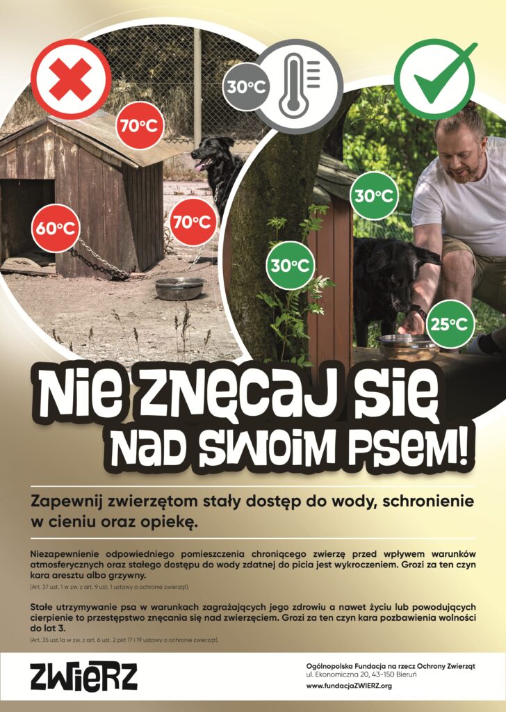 Zadbajmy o bezpieczeństwo psów podczas upałów