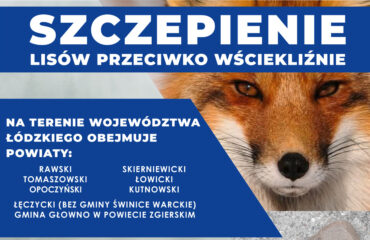 Komunikat Łódzkiego Wojewódzkiego Lekarza Weterynarii w sprawie jesiennej akcji szczepienia lisów wolno żyjących przeciwko wściekliźnie na terenie województwa łódzkiego w powiatach: opoczyńskim, rawskim, tomaszowskim, skierniewickim, łowickim,kutnowskim i łęczyckim (bez gminy Świnice Warckie) oraz zgierskim w gminie Głowno w roku 2025 Łódzki Wojewódzki Lekarz Weterynarii działając na podstawie Rozporządzenia Ministra Rolnictwa i Rozwoju Wsi z dnia 18 marca 2025 r. w sprawie wprowadzenia programu zwalczania wścieklizny na lata 2025- 2027 (Dz.U. 2025 r. poz. 430 ) oraz § 4 ust. 1, §10 ust. 1, §11 Rozporządzenia Ministra Rolnictwa i Rozwoju Wsi z dnia 17 grudnia 2013 r. w sprawie przeprowadzania ochronnych szczepień lisów wolno żyjących przeciwko wściekliźnie (Dz. U. 2013 r., poz. 1737) informuje, że na terenie województwa łódzkiego w okresie pomiędzy 10 a 17 października 2025 r. zostanie przeprowadzona jesienna akcja szczepienia lisów wolno żyjących przeciwko wściekliźnie.