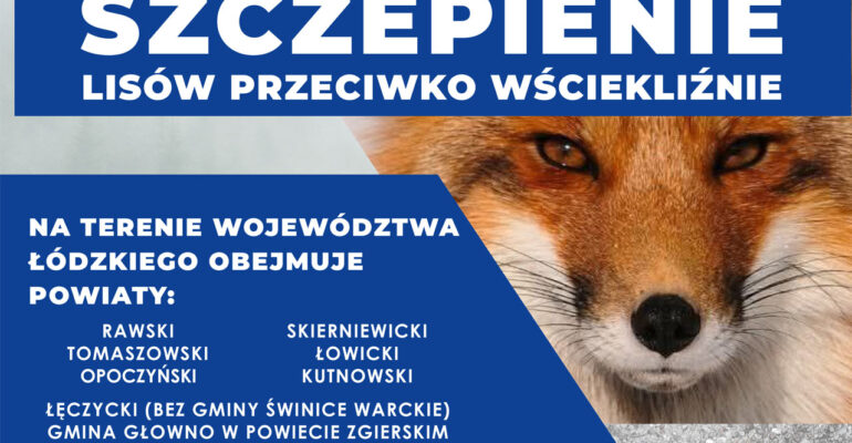 Komunikat Łódzkiego Wojewódzkiego Lekarza Weterynarii w sprawie jesiennej akcji szczepienia lisów wolno żyjących przeciwko wściekliźnie na terenie województwa łódzkiego w powiatach: opoczyńskim, rawskim, tomaszowskim, skierniewickim, łowickim,kutnowskim i łęczyckim (bez gminy Świnice Warckie) oraz zgierskim w gminie Głowno w roku 2025 Łódzki Wojewódzki Lekarz Weterynarii działając na podstawie Rozporządzenia Ministra Rolnictwa i Rozwoju Wsi z dnia 18 marca 2025 r. w sprawie wprowadzenia programu zwalczania wścieklizny na lata 2025- 2027 (Dz.U. 2025 r. poz. 430 ) oraz § 4 ust. 1, §10 ust. 1, §11 Rozporządzenia Ministra Rolnictwa i Rozwoju Wsi z dnia 17 grudnia 2013 r. w sprawie przeprowadzania ochronnych szczepień lisów wolno żyjących przeciwko wściekliźnie (Dz. U. 2013 r., poz. 1737) informuje, że na terenie województwa łódzkiego w okresie pomiędzy 10 a 17 października 2025 r. zostanie przeprowadzona jesienna akcja szczepienia lisów wolno żyjących przeciwko wściekliźnie.