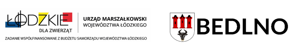 Realizacja zadania „Łódzkie dla zwierząt – razem przeciw bezdomności” na 2026 rok 