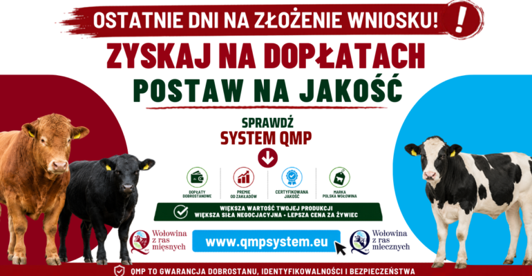 Ekoschemat „Dobrostan zwierząt” Dodatkowe pieniądze dla hodowców z QMP – tylko do 1 czerwca!