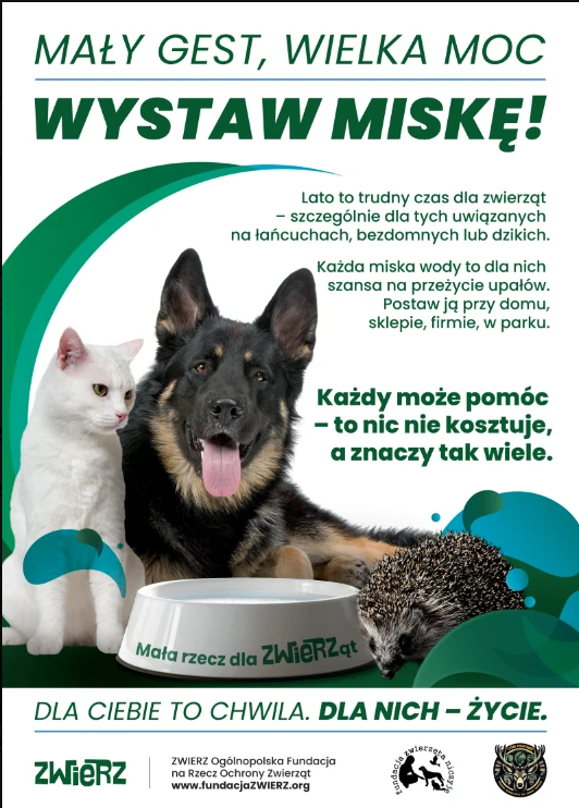Mały gest, wielka moc - prosimy o wsparcie kampanii na rzecz zwierząt podczas upałów.

