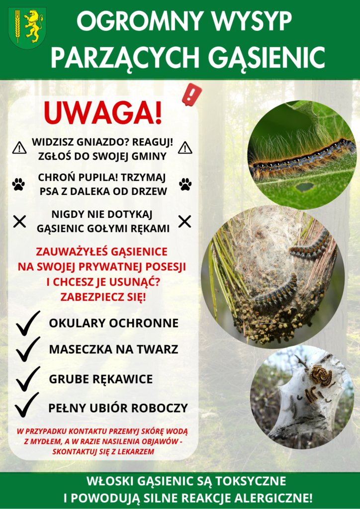 Uwaga masowe występowania gąsienic (kuprówki rudnicy, korowódki dębówki oraz brudnicy nieparki) na terenie powiatu kutnowskiego